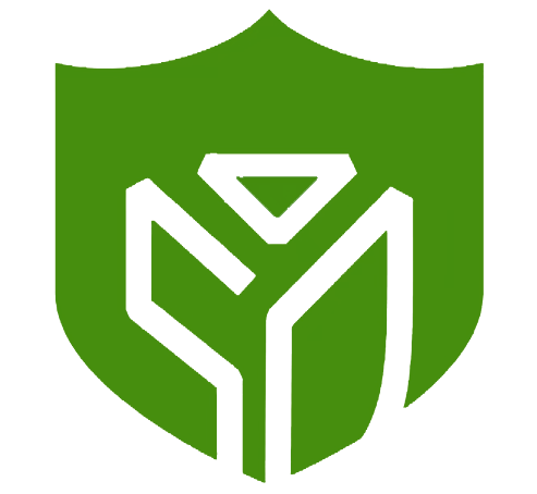 数盾信息科技股份有限公司